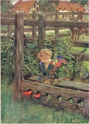 Illustration aus 