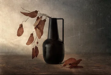 Schwarze Vase mit getrockneten Samenkapseln