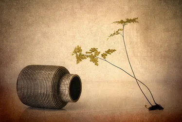 Erdige Vase und Farn