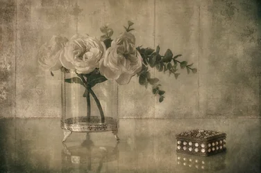 Elegante Rose und Andenken