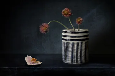 Stimmungsvolle Stachelblumen