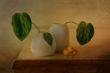 Ruhige botanische Anordnung