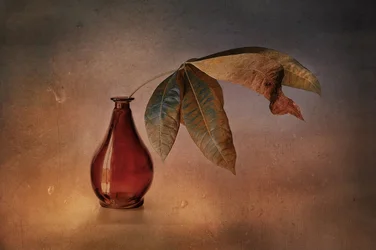 Rote Vase Herbstblätter