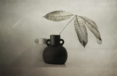 Gelassenes botanisches Stillleben