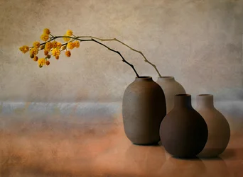 Gelbe Mimose Vasen