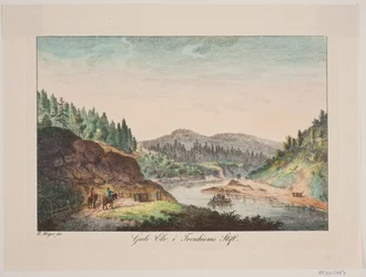 Gelber Fluss, im Trondheimer Stift