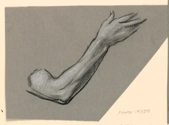Detail einer Armzeichnung, ca. 1885