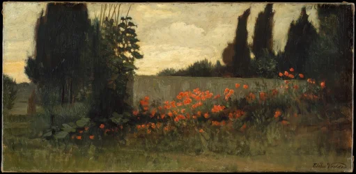 Zypresse und Mohnblumen