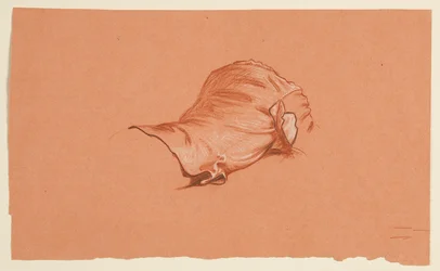 Draperiestudie für kostümierten männlichen Torso