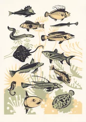 Pfirsich Seetang Fisch, 2015