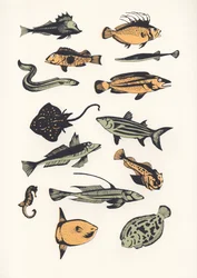 Ebene Fisch, 2015