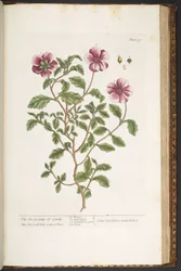 Tafel 197, aus 