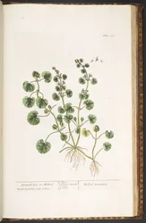 Tafel 225, aus 