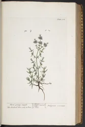 Tafel 304, aus 
