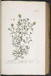 Tafel 310, aus 
