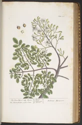 Tafel 386, aus 