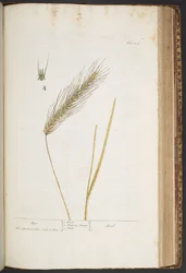 Tafel 424, aus 