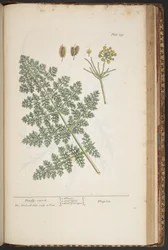 Tafel 459, aus 