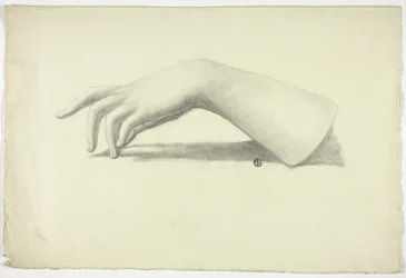 Linker Unterarm und Hand