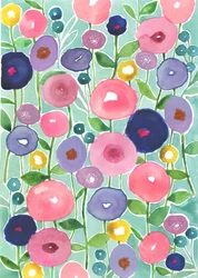 Mohnblumen in Blüte auf aqua Hintergrund, 2018