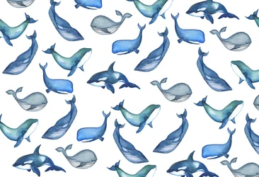 Wale