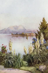 Isola Pescatori von Baveno, Lago Maggiore