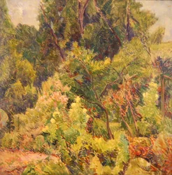 Garten nahe einem Wald