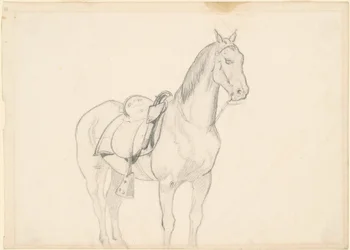 Pferd