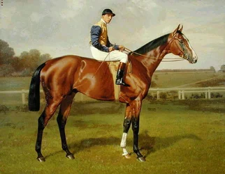 „Spearmint“, Gewinner des Derbys 1906, 1906