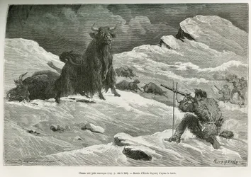 Wildyak-Jagdszene, Zeichnung von Emile Bayard zur Illustration der Reise nach Mongolei und dem Land der Tanguten von 1870 bis 1873, von Oberstleutnant Prjewalski. Gravur in Le tour du monde