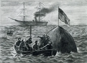 Illustration für den Roman 