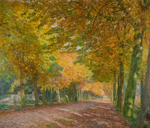 Sonnige Allee