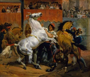 Der Start des Rennens der reiterlosen Pferde