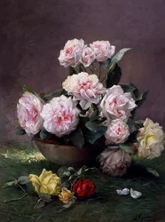 Romantische Rosen
