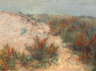 Dünen mit Stranddorn bei Knokke