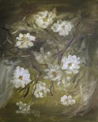 Sanfte Weiße Blüten