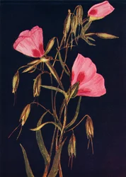 Abschied vom Frühling, ca. 1915, 1915