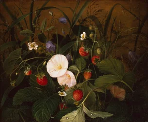 Wilde Erdbeeren, Glockenblumen und eine Heckenwinde auf einem Ufer
