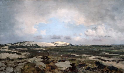 In den Dünen, 1881