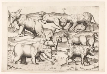 Neun Tiere