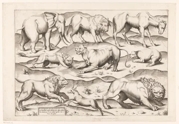 Neun wilde Tiere