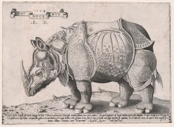 Nashorn