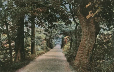Addisons Walk