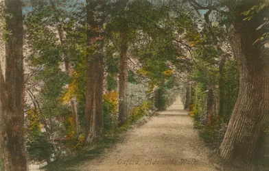 Addisons Walk, Oxford
