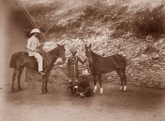 Pferde in Simla, Queen Mab und Gladys