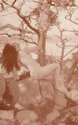 Nudistenkunst: Tanglewood