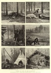 Szenen aus dem Leben in der Wildnis