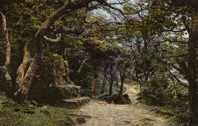 Steinbank, der Erdrutsch