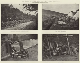 Die Armeemanöver im New Forest