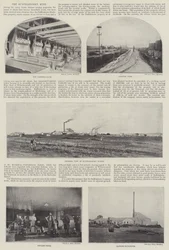 Die Buffelsdoorn Mine